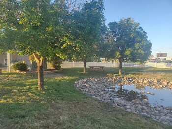 BBQ/picnic area