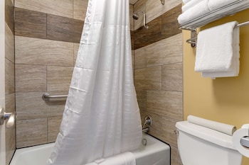 Combined shower/tub, eco-friendly toiletries, hair dryer, towels