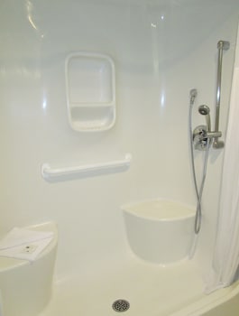 Room, 1 King Bed, Accessible, Non Smoking | Bathroom | Combined shower/tub, free toiletries, hair dryer, towels