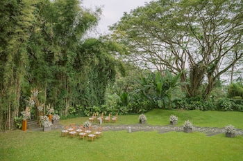 Outdoor wedding area