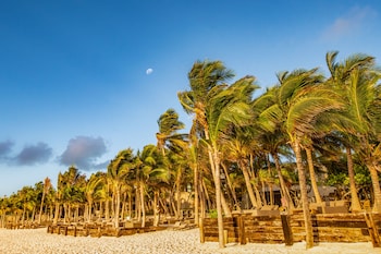 On the beach, white sand, free beach cabanas, beach towels