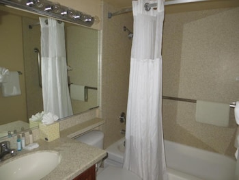 Combined shower/tub, free toiletries, hair dryer, towels