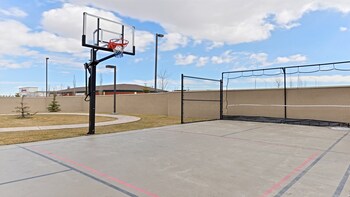 Basketball court