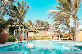 Outdoor pool, sun loungers