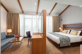 Executive Double Room, Balcony | In-room safe, desk, laptop workspace, iron/ironing board