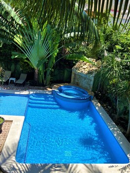 Outdoor pool, sun loungers