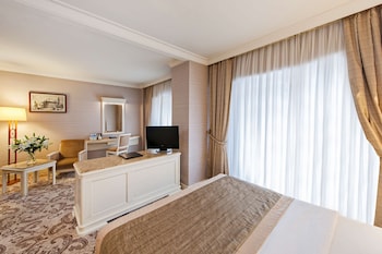 Junior Suite with Queen Size Bed | View from room