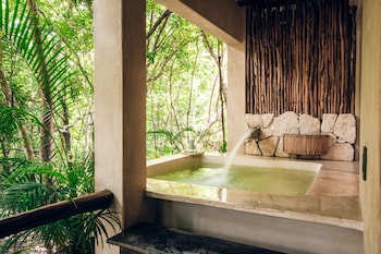 Jungle Suite w/private bathtub | Down comforters, in-room safe, iron/ironing board, free WiFi