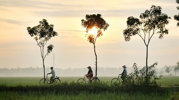 Bicycling