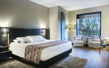 Standard Room, 1 King Bed | Premium bedding, pillowtop beds, minibar, in-room safe