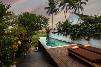 Outdoor pool, sun loungers