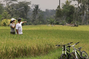 Bicycling