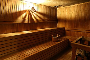 Sauna, spa tub, mud baths